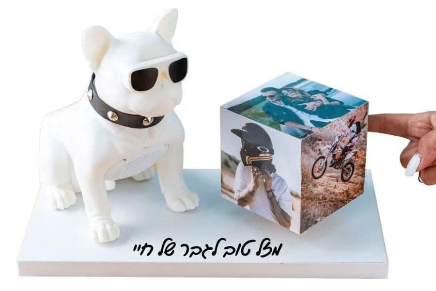 קרוסלת תמונות מנגנת