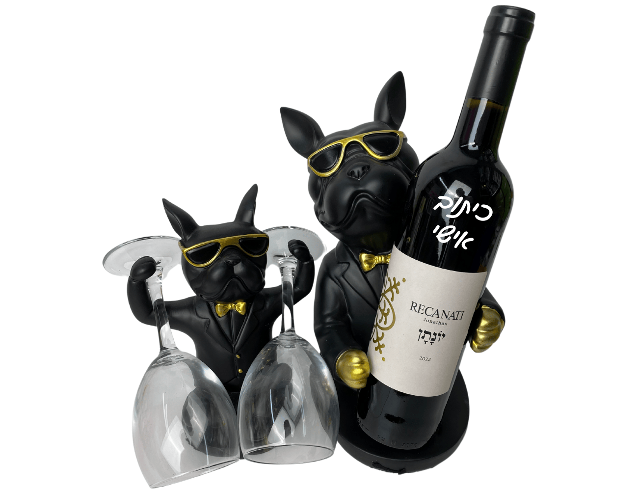 אפרת 🌟🌟🌟 / כן השילוב נדיר 🤩 הכלב המחבק