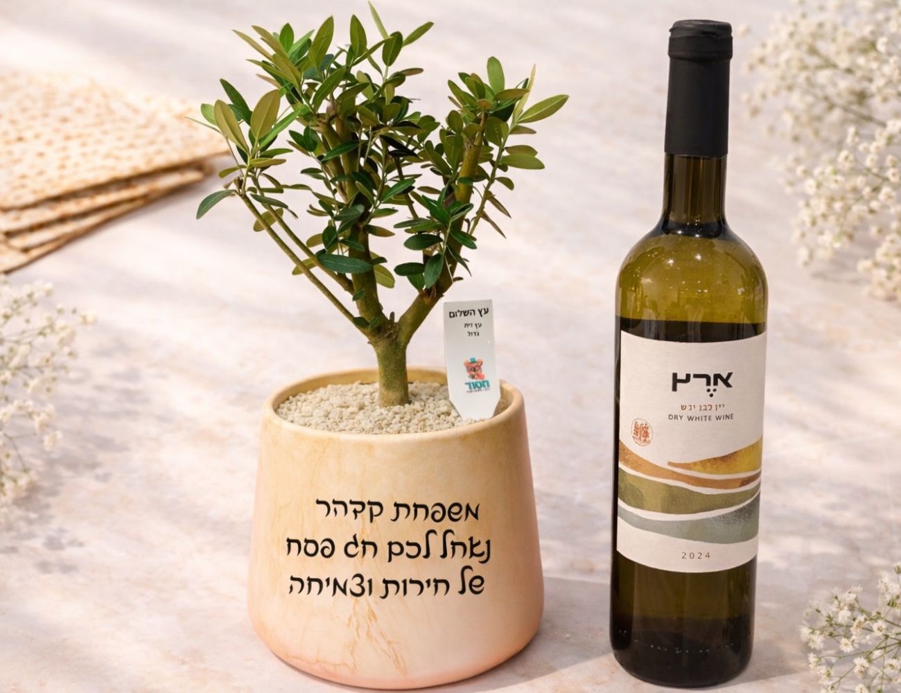 עץ זית שלום לפסח