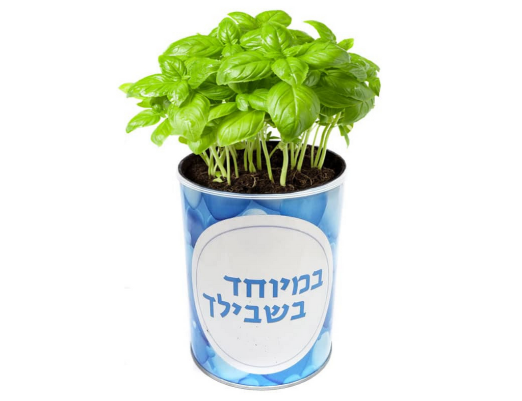 צמח במיוחד בשבילך - הסוד מתנות