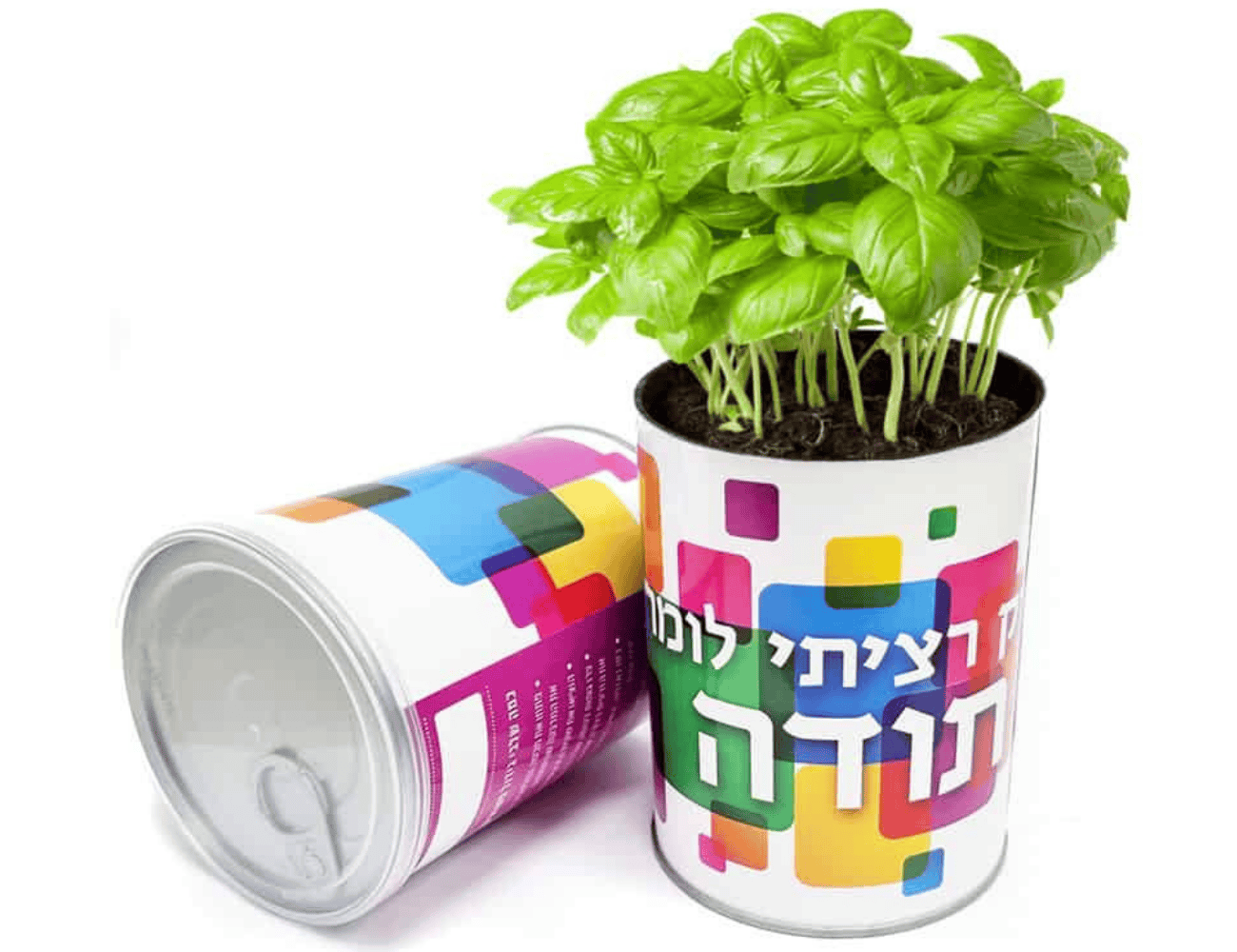 צמח במיוחד בשבילך