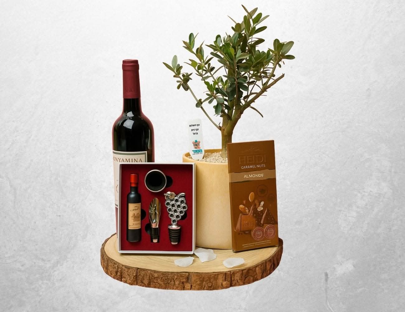 עץ זית גדול בכלי קרמיקה וכיתוב