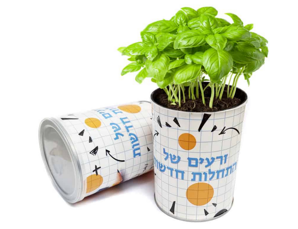 צמח במיוחד בשבילך - הסוד מתנות