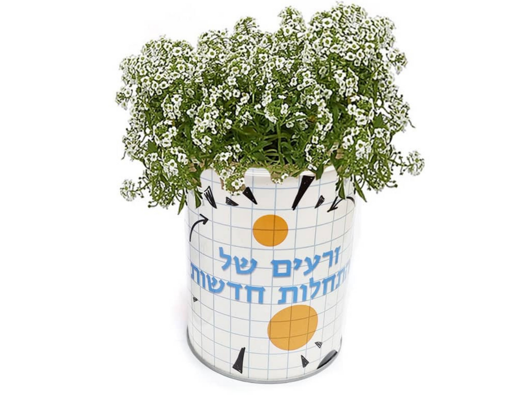 צמח במיוחד בשבילך - הסוד מתנות