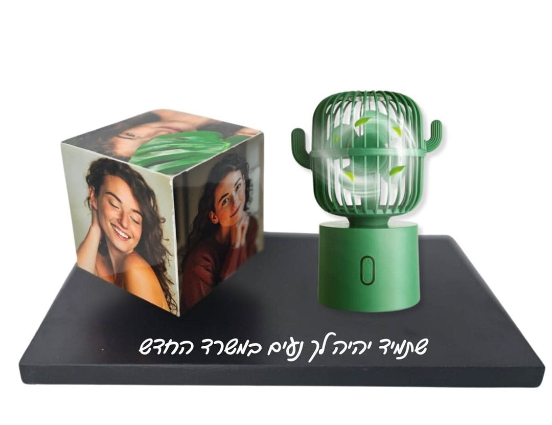 קרוסלה מאוורר קקטוס