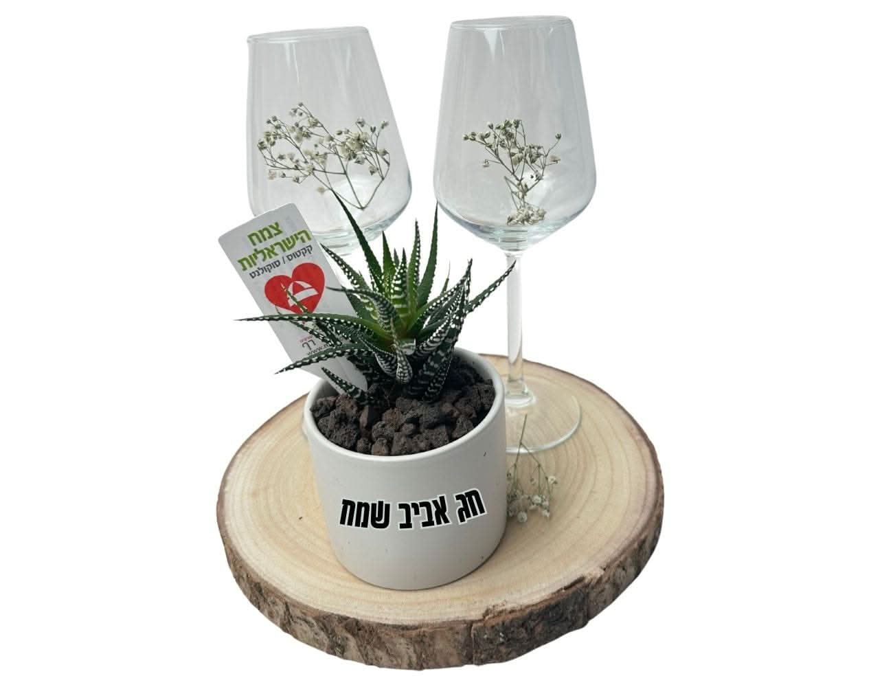 ישראלי ללא יין רגע של ישראליות