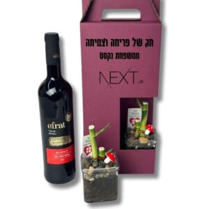 מארז פריחה מזל