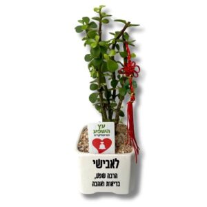 עץ השפע