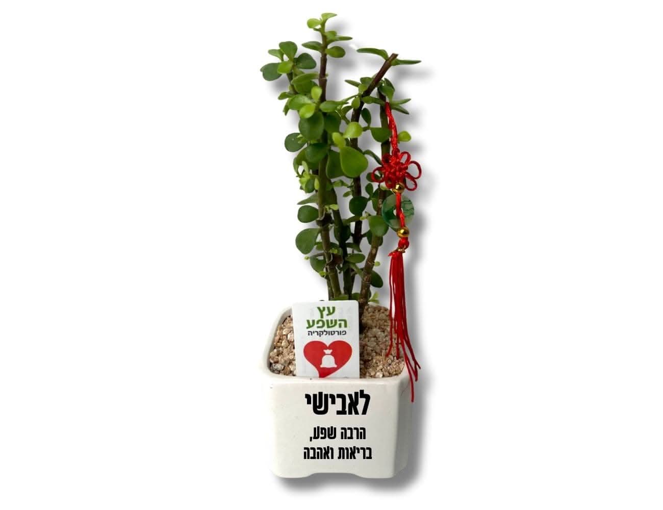 עץ השפע