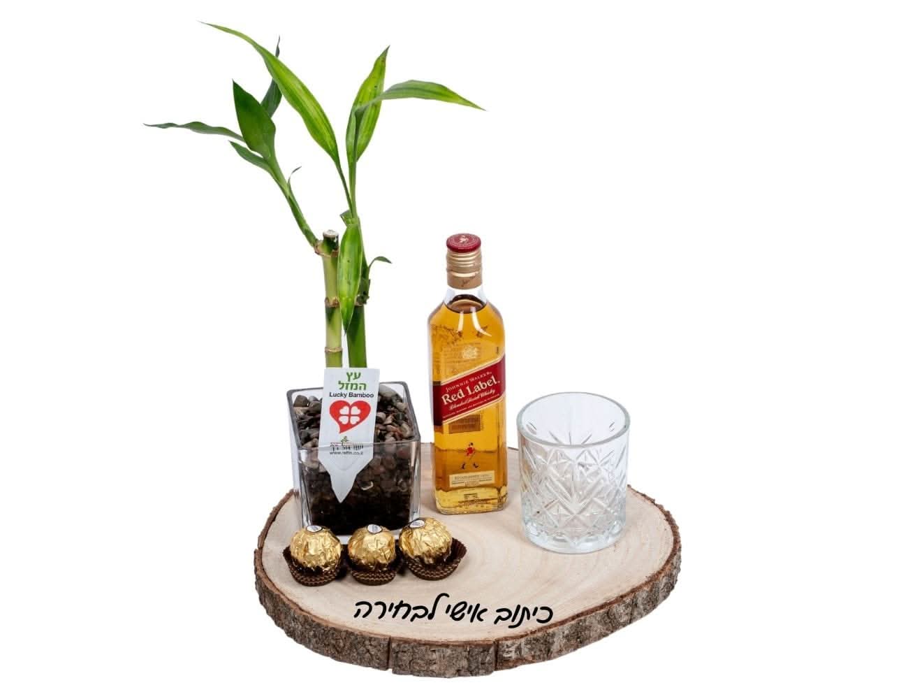 עץ המזל - Image 4