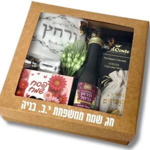 אביב הגיע פסח בא