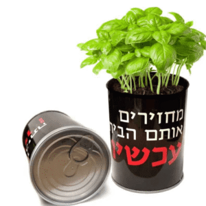 צמח מחזירים אותם הביתה