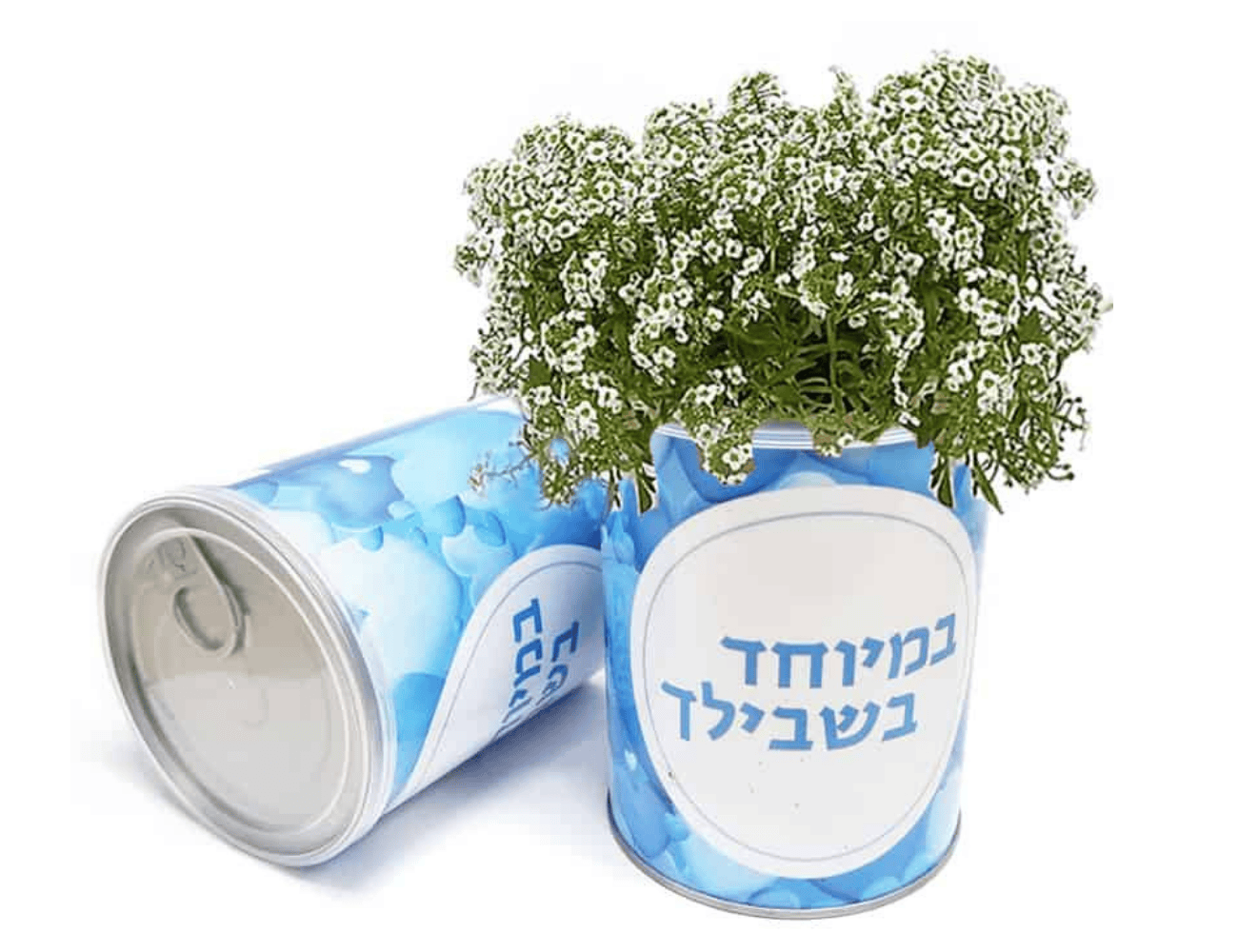צמח במיוחד בשבילך - Image 3