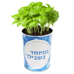 צמח במיוחד בשבילך