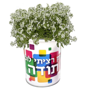 צמח במיוחד בשבילך