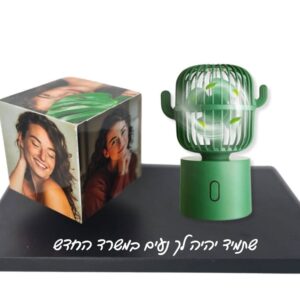 קרוסלה מאוורר קקטוס