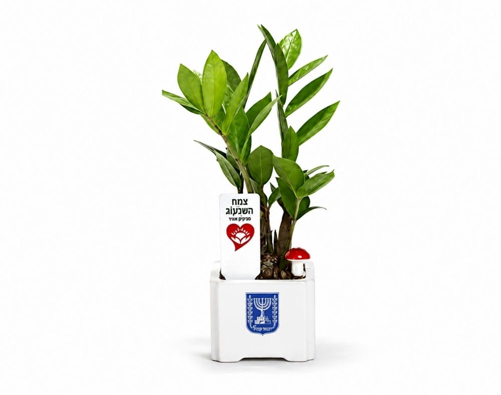 עץ האהבה במיתוג אישי - Image 4