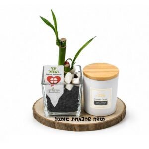 מ